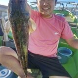 9月5日(火)マゴチ