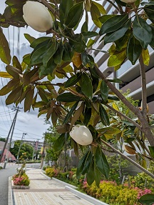 5月29日(水)