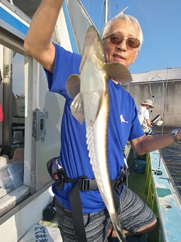 8月5日(月)マゴチ　　　アタリ多数、食い活発！！