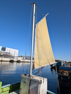 1月31日(金)船は相模湾に