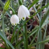 5月11日(日)