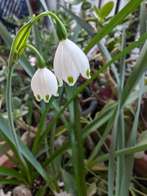 5月11日(日)
