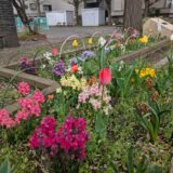 4月26日(土)