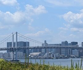 9月12日(金)豊洲