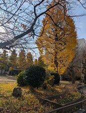 12月1日(月)師走