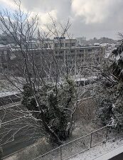 2月8日(日)雪の選挙