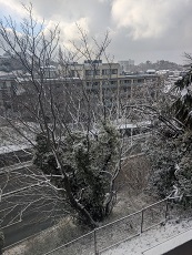 2月8日(日)雪の選挙