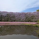 4月30日(木)