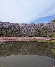4月30日(木)