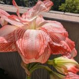 9月30日(水)