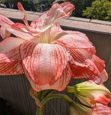 9月30日(水)